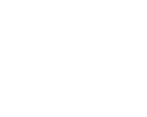 Логотип МИРРА